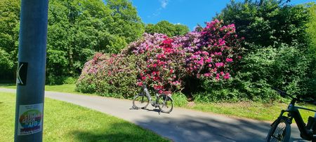 Schlosspark Schieder