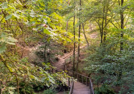 Natur bei den Emsquellen bei Schloß Holte-Stukenbrock