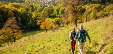 Ausblick auf das Natur Highlight Kalkmagerrasen Beverungen