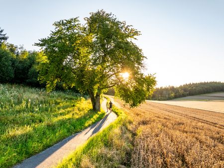 Hühnerwiem in Bad Salzuflen, Teutoburger Wald