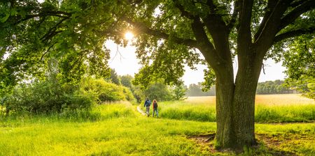 Naturreservat Rieselfelder Windel in Bielefeld-Senne