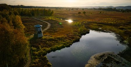 Großes Torfmoor bei Hille