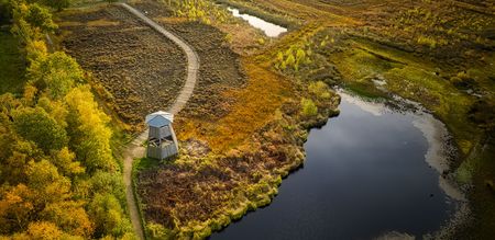 Natur Ausflug in das Große Torfmoor, Hille