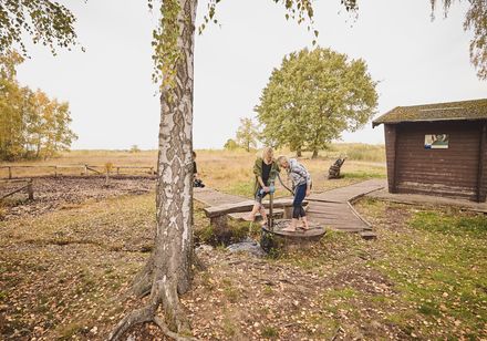 Moortreten beim Torfmoor in Hille