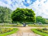 Blühender Botantischer Garten Gütersloh im Frühling