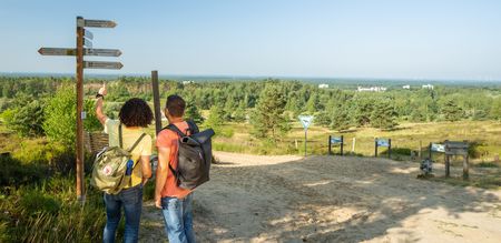 Einzigartige Sennelandschaft in Oerlinghausen