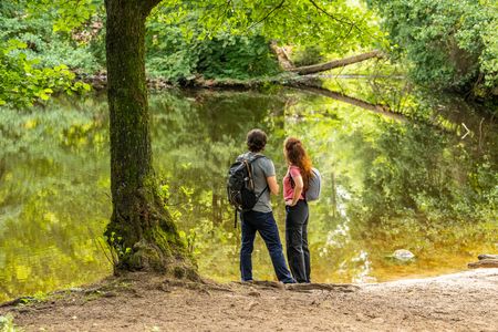 Donoper Teich in Detmold