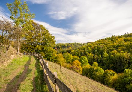 Kalkmagerrasen bei Dalhausen mit Ausblick auf die Landschaft