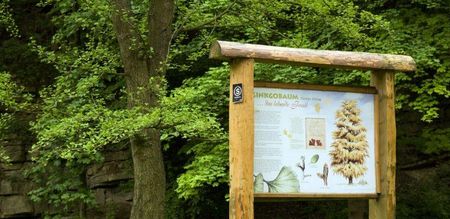 Natur Highlight Buddenberg Arboretum